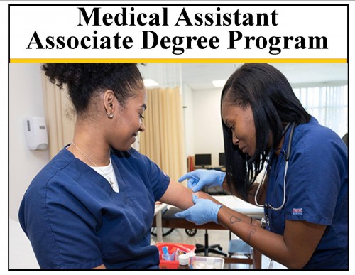 Why You Should Become a Medical Assistant